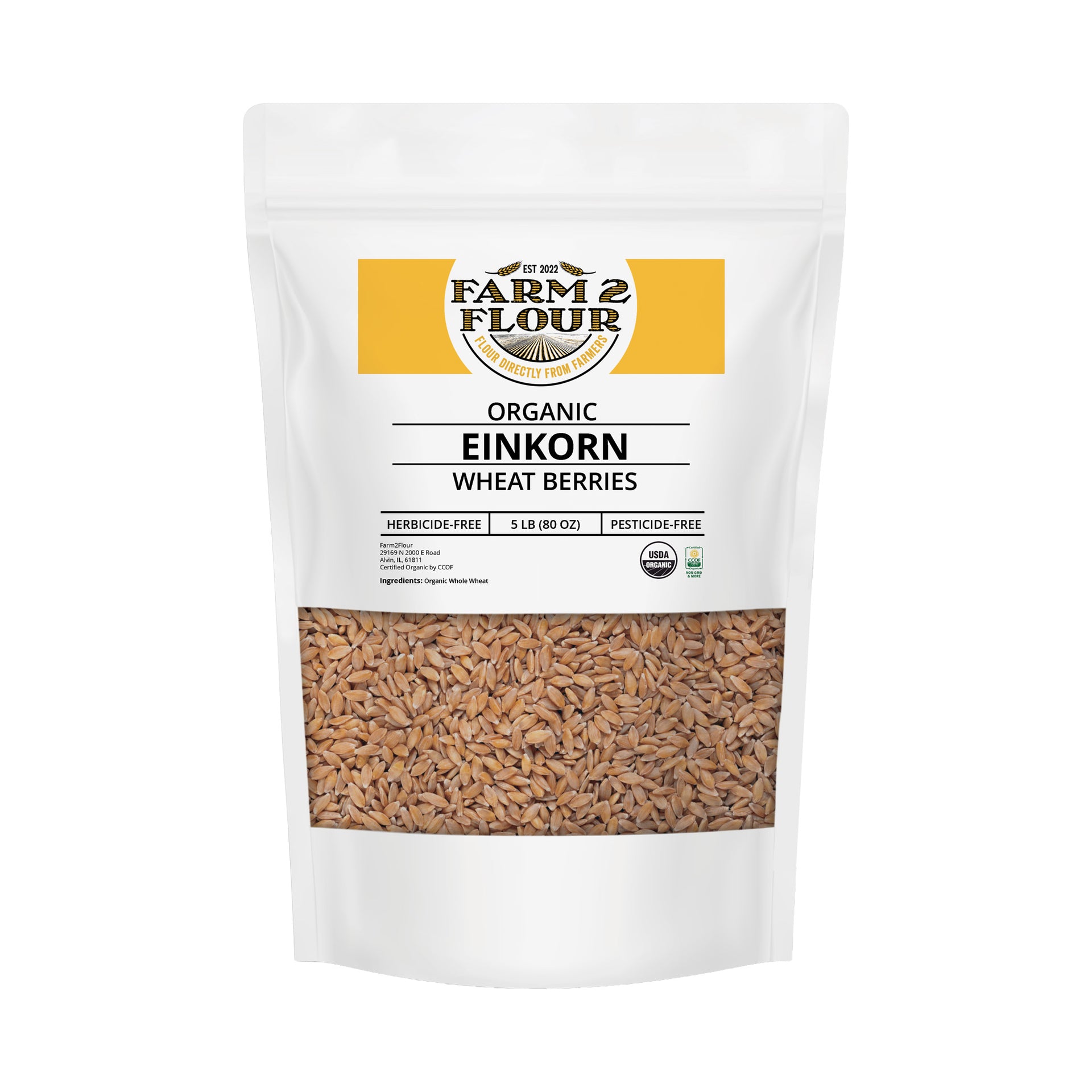 einkorn wheat seeds for planting Organic Einkorn Wheat Berries – Farm2Flour
